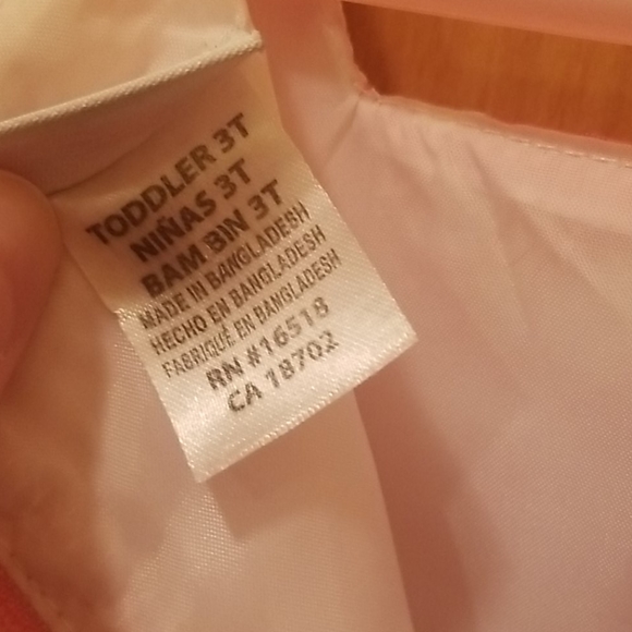 Fancy toddler dress pink floral (3T) - Picture 7 of 7